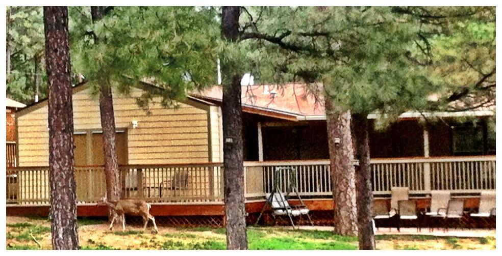 Village Lodge Ruidoso Eksteriør billede